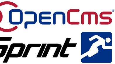 OpenCms Entwickler-Sprint, veranstaltet von Alkacon Software