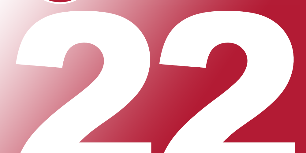 OpenCms 22