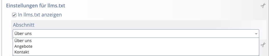Meta Info: llms.txt Section Selection