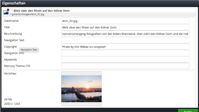 Image preview and filename validation in the upload dialog