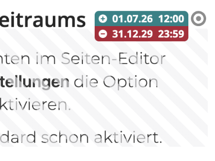 Display of Validity in the Page Editor